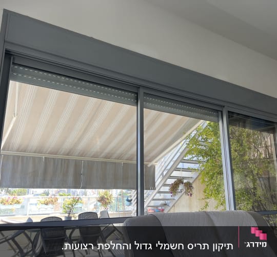חלון עם תריסים ומרפסת חיצונית עם צמחים